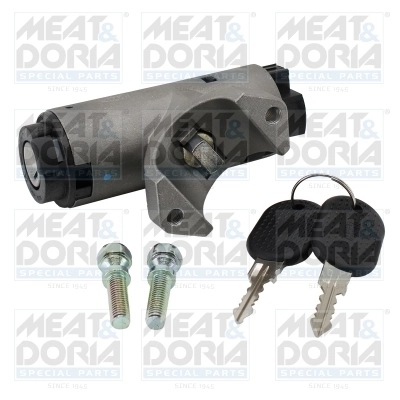 Steering Lock